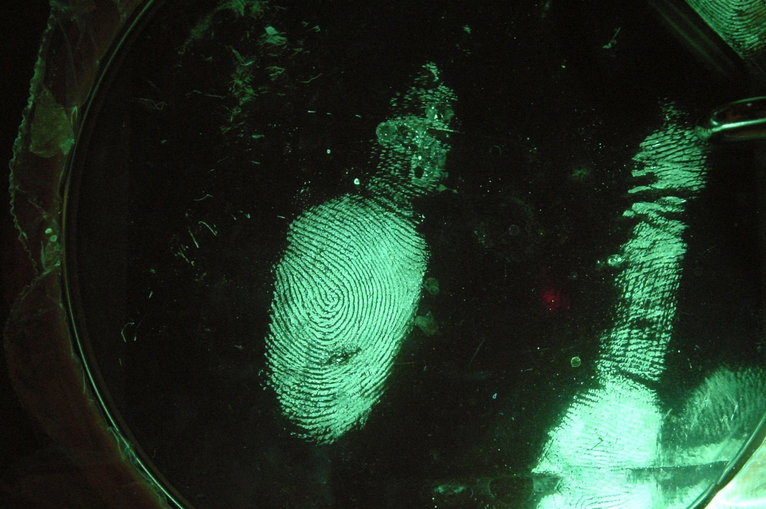 Forensics 101: How UV Light Reveals Hidden Evidence