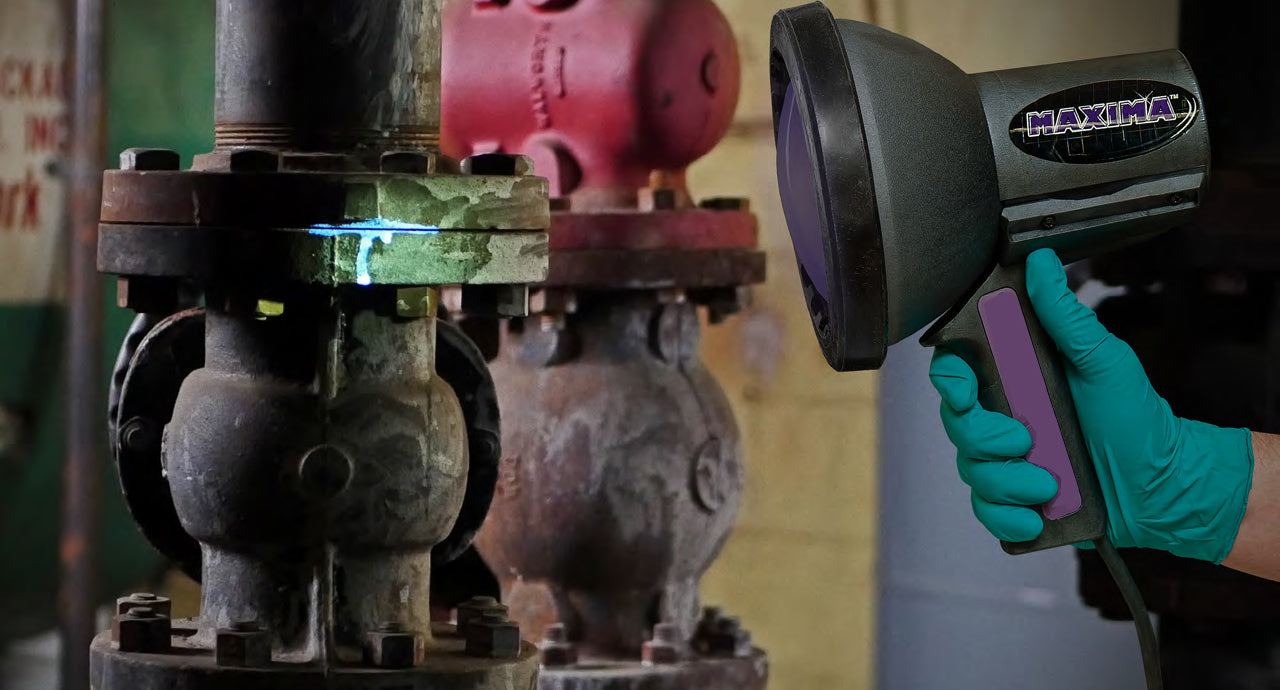 MAXIMA™ Ultra High Intensity 365nm UV-A Blacklight Lamp: Revolutionizing Paint Curing Applications