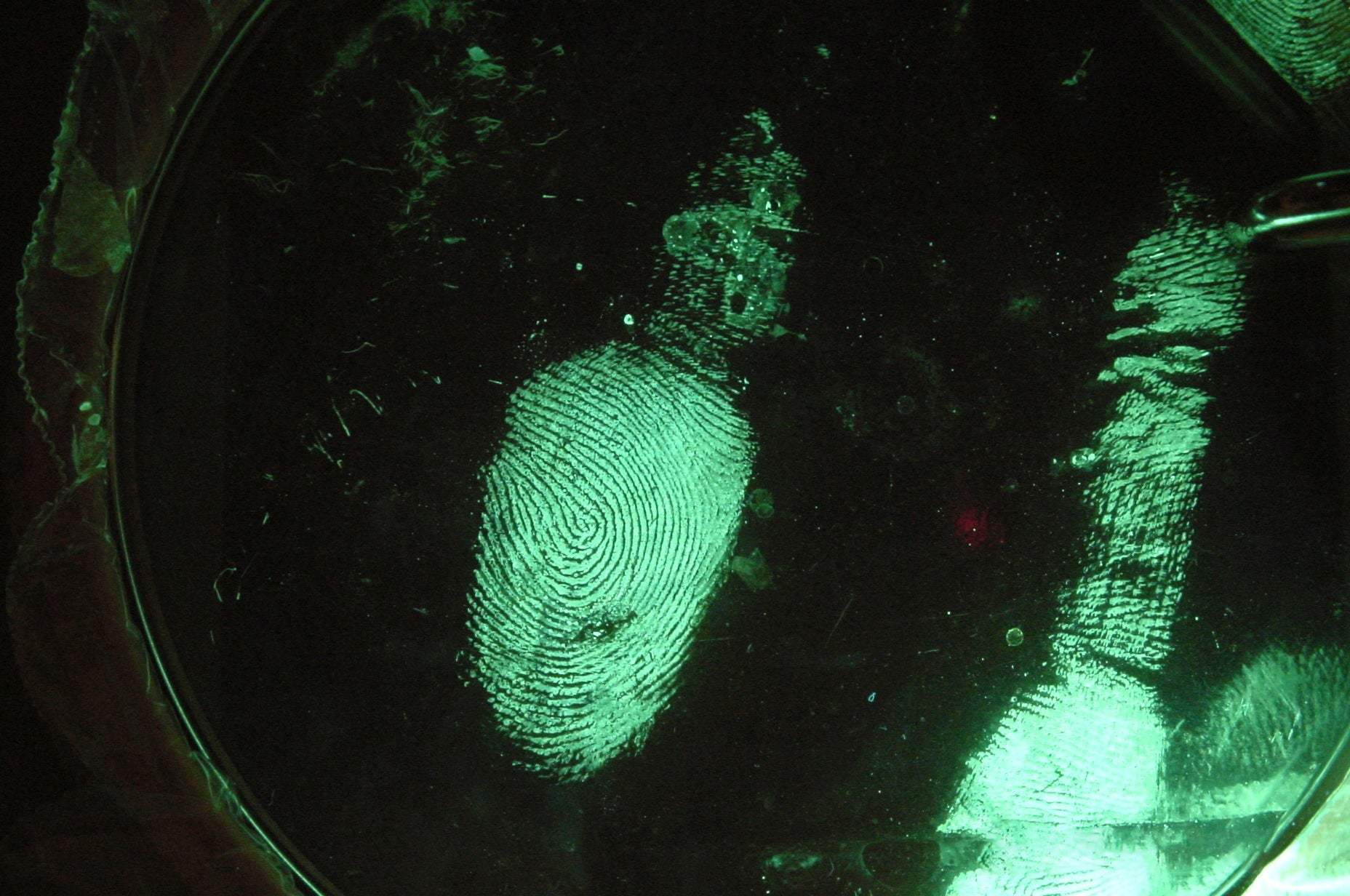 Forensic Kits
