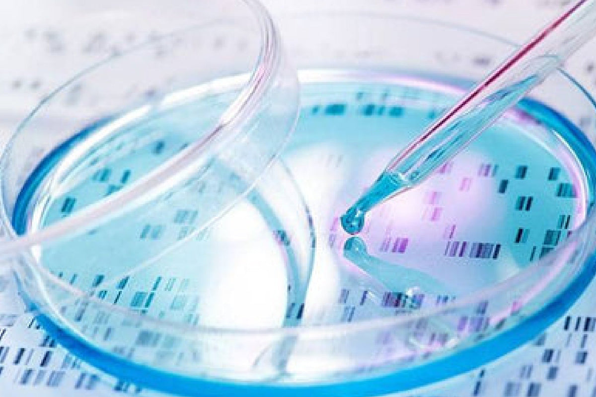 Lab & Life Science